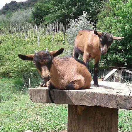 La Finestra Sulla Valle Casa de Férias Valdottavo