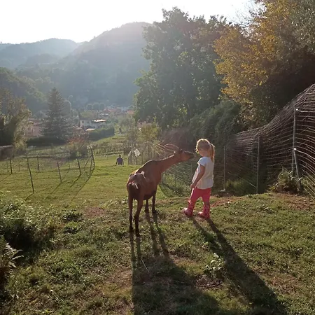La Finestra Sulla Valle * Valdottavo