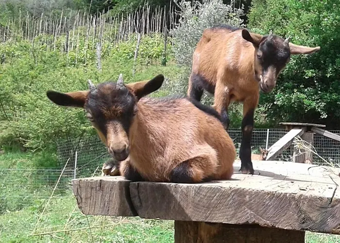 La Finestra Sulla Valle Nyaraló Valdottavo
