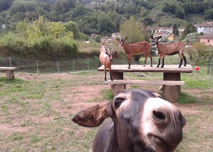 La Finestra Sulla Valle
