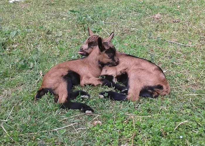 La Finestra Sulla Valle Nyaraló *