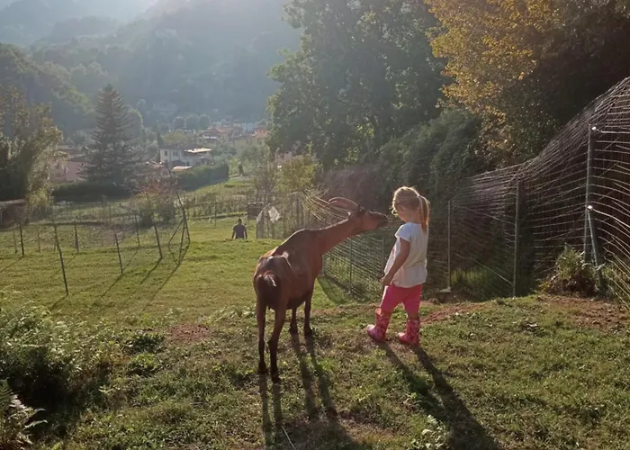 La Finestra Sulla Valle * Valdottavo