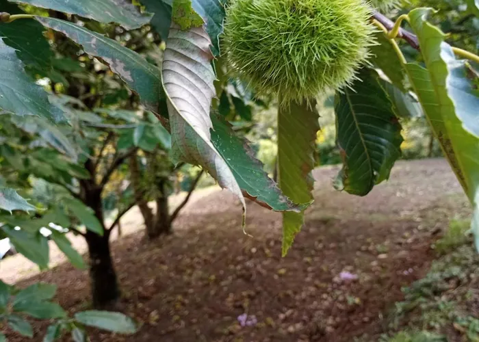 La Finestra Sulla Valle Nyaraló